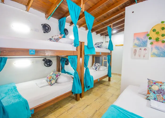 Spring Hostel