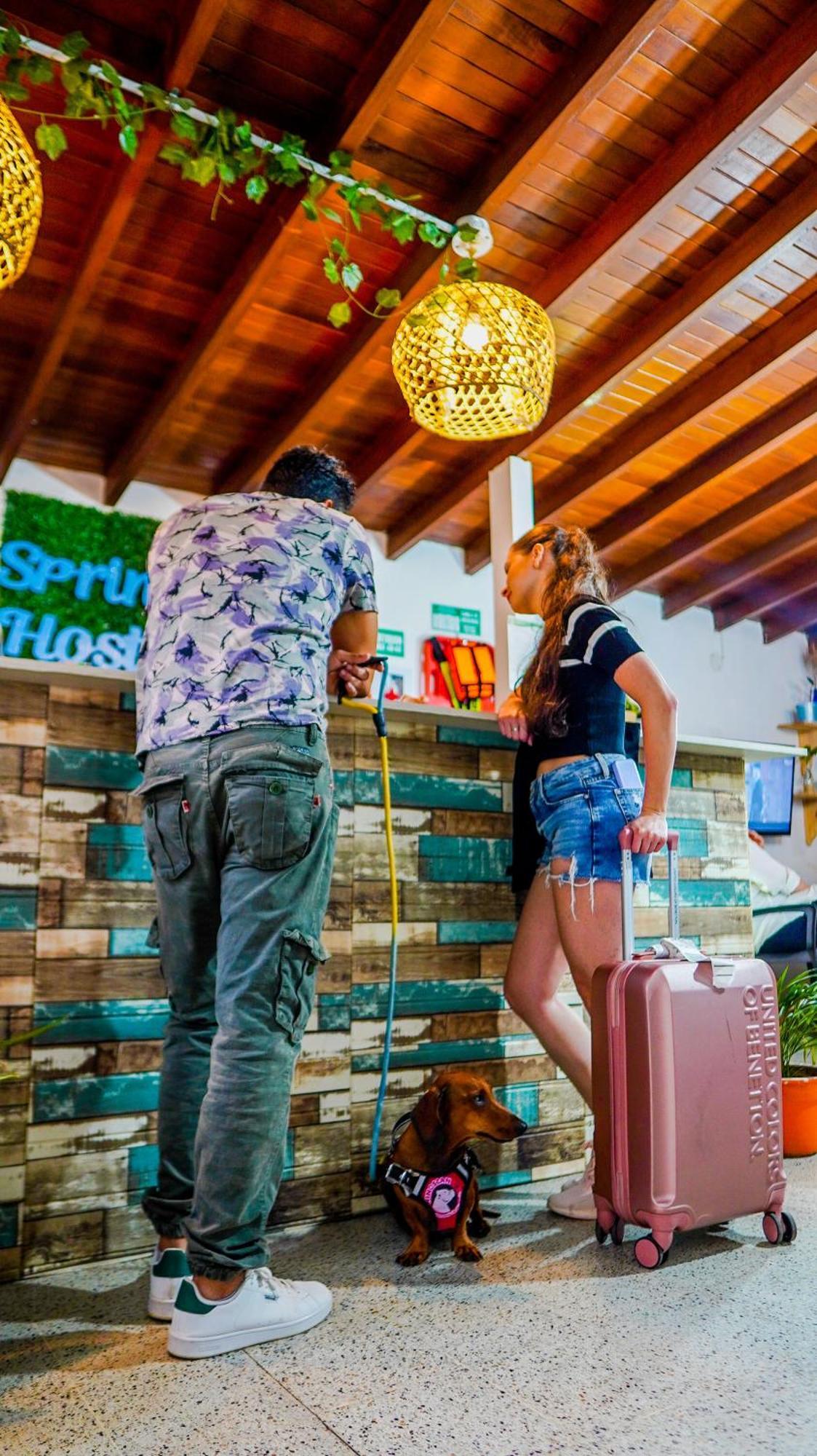 Spring Hostal Medellín